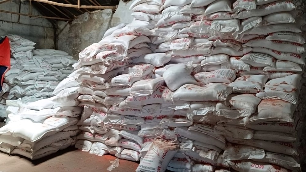 বরেন্দ্র অঞ্চলে সারের কালোবাজার: সরকারি বরাদ্দ গায়েব, কৃষক জিম্মি সিন্ডিকেটের হাতে