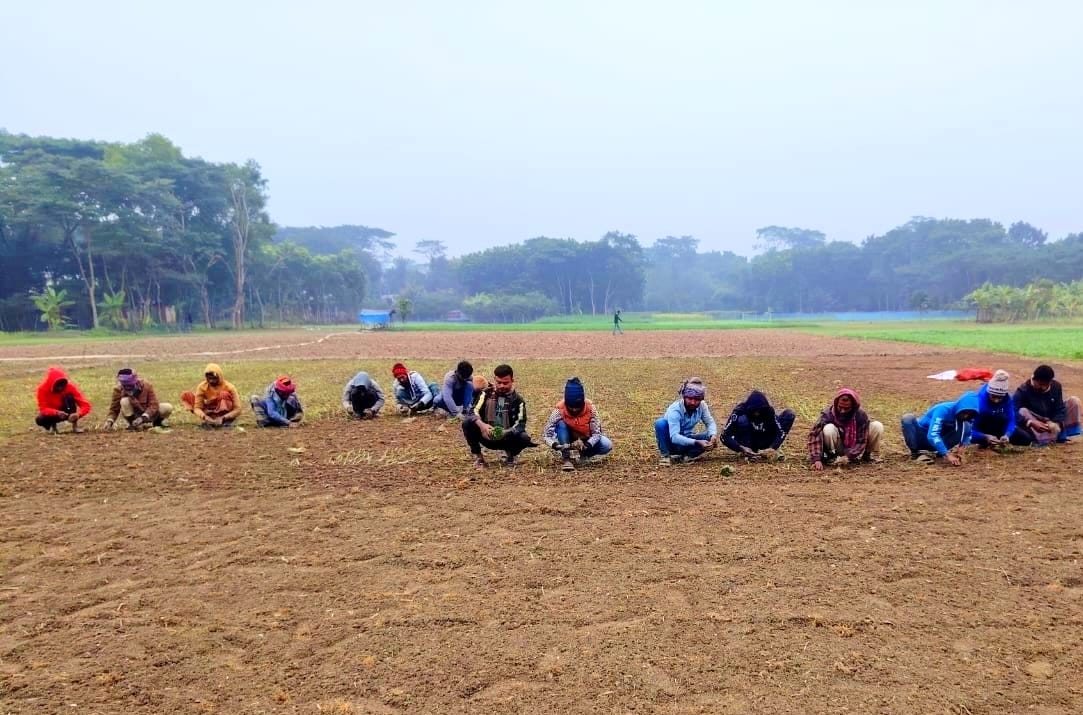 মুকসুদপুরে হাড়কাঁপানো শীতেও পেঁয়াজের চারা রোপণে ব্যস্ত কৃষকরা