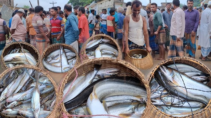 সৈয়দপুরে চাঁদাবাজির প্রতিবাদে মাছ বাজার বন্ধ, বিপাকে ক্রেতারা