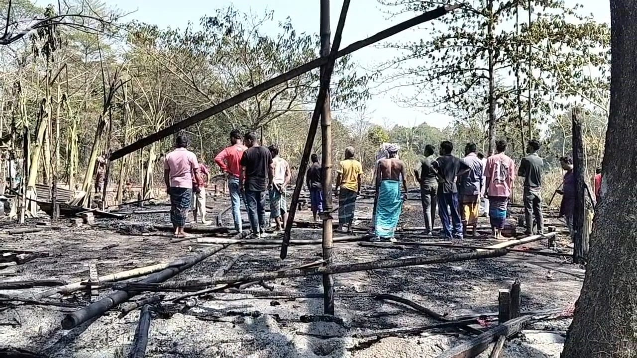 মাদারীপুরে খামারের ২০ হাজার মুরগিসহ গাছপালা পুড়ে ছাই