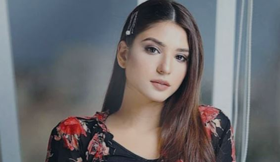 বিয়ের পর ইনস্টাগ্রাম ফাঁকা! সত্যিই কি অভিনয় ছাড়ছেন রামশা খান?