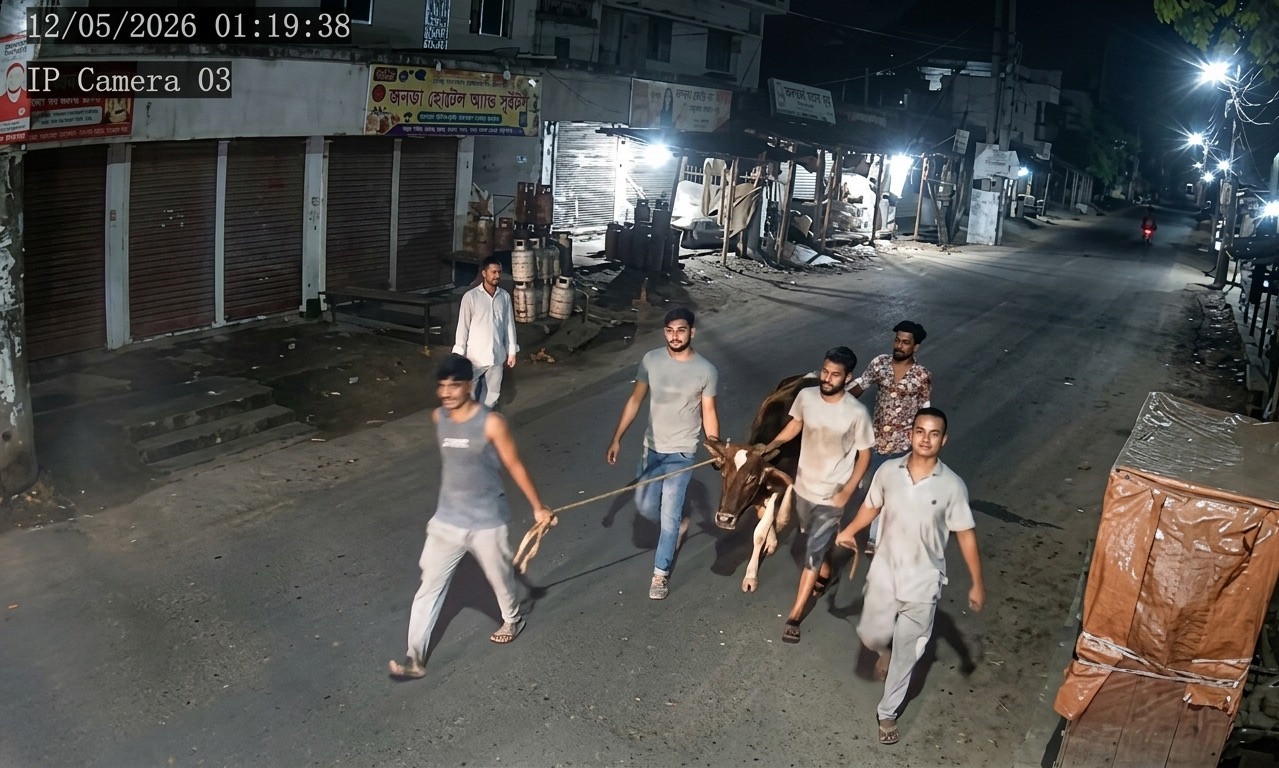 চুরির ৮ ঘণ্টার মধ্যেই উদ্ধার গরু, পরে আপস করলেন বাদী-বিবাদী