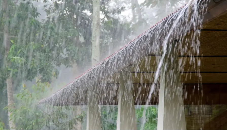 ২৪ ঘণ্টায় দেশজুড়ে বজ্রসহ বৃষ্টির আভাস,