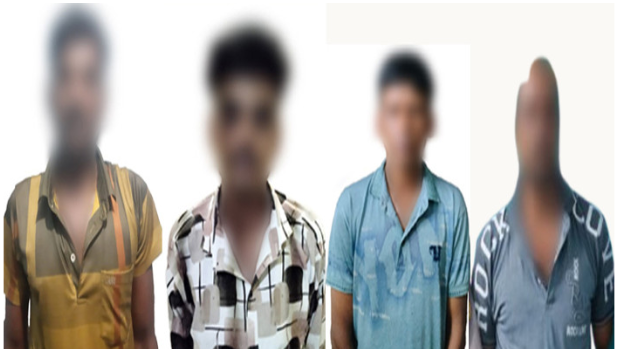 রাজশাহী মহানগরীতে গাঁজার গাছসহ গ্রেপ্তার ৪ মাদক কারবারি